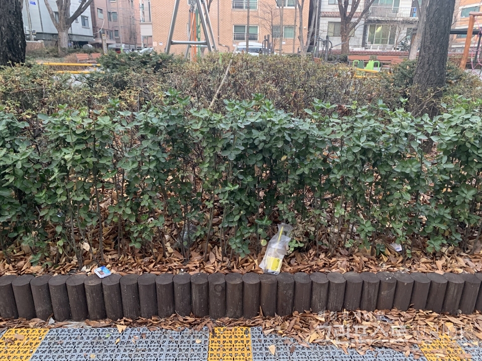 1월 1일 서울 송파구의 한 공원 모습. 일회용 음료잔과 담배가 버려져있다. (이한 기자 2022.1.1)/그린포스트코리아