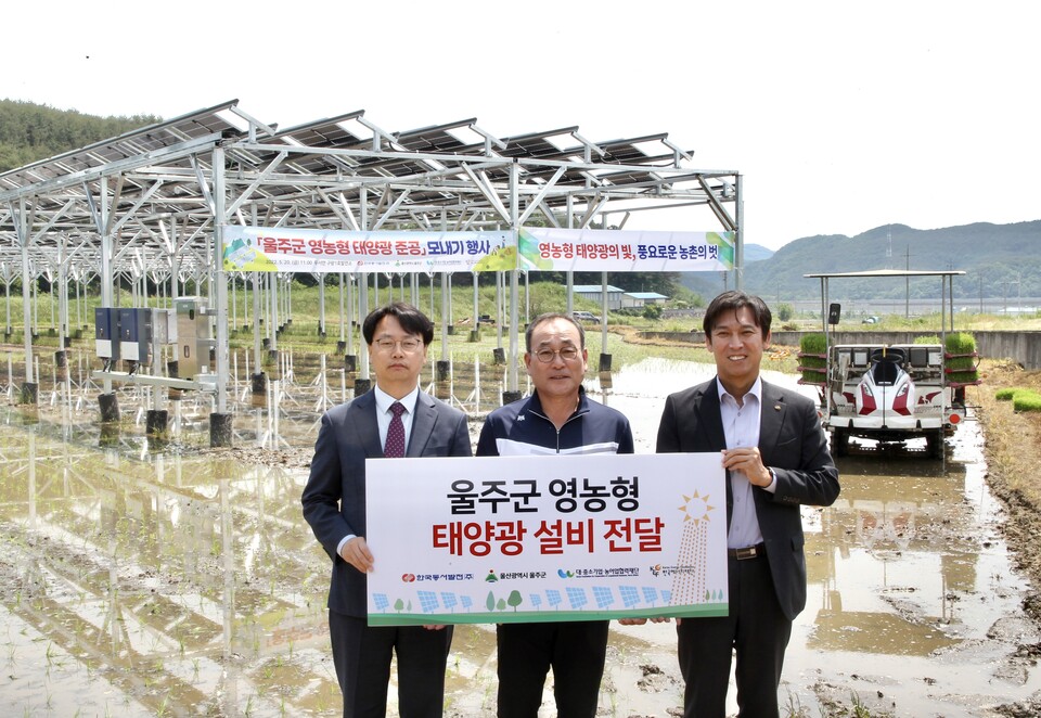 한국동서발전은 농사를 지으면서 전력을 생산하는 영농형 태양광 발전설비를 울산광역시 울주군에 준공했다고 20일 밝혔다.(동서발전 제공)/그린포스트코리아