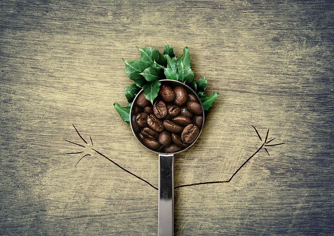 커피는 기후위기의 여파를 받는 품목 중 하나로 멸종 위기종으로까지 꼽힌다. (픽사베이 제공)/그린포스트코리아