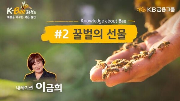 KB금융그룹이 ‘농업인의 날’을 맞아 도시 농업·양봉의 중요성을 담은 ‘꿀벌의 선물’ 영상을 공개했다.(KB금융그룹 제공)/그린포스트코리아