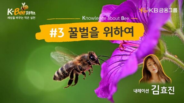 KB금융그룹이 ‘세계 벌의 날(5월 20일)’을 맞아 ‘꿀벌을 위하여’ 영상을 공개했다.(KB금융그룹 제공)/그린포스트코리아