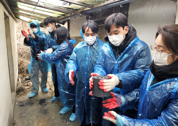 신한투자증권 신입직원들이 17일 강화도에서 봉사활동을 진행했다. (사진=신한투자증권)/그린포스트코리아