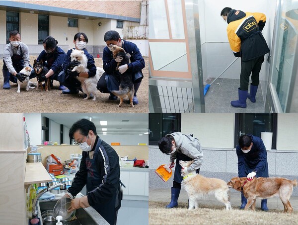 BBQ 임직원들의 유기견 돌봄 봉사 모습. (사진=BBQ)/그린포스트코리아