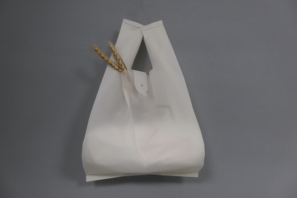 리타치를 활용해 생분해성 비닐을 생산하는 더데이원랩. /더데이원랩 제공