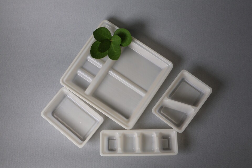리타치를 활용해 생분해성 식품 용기 등을 개발하고 있는 더데이원랩. /더데이원랩 제공