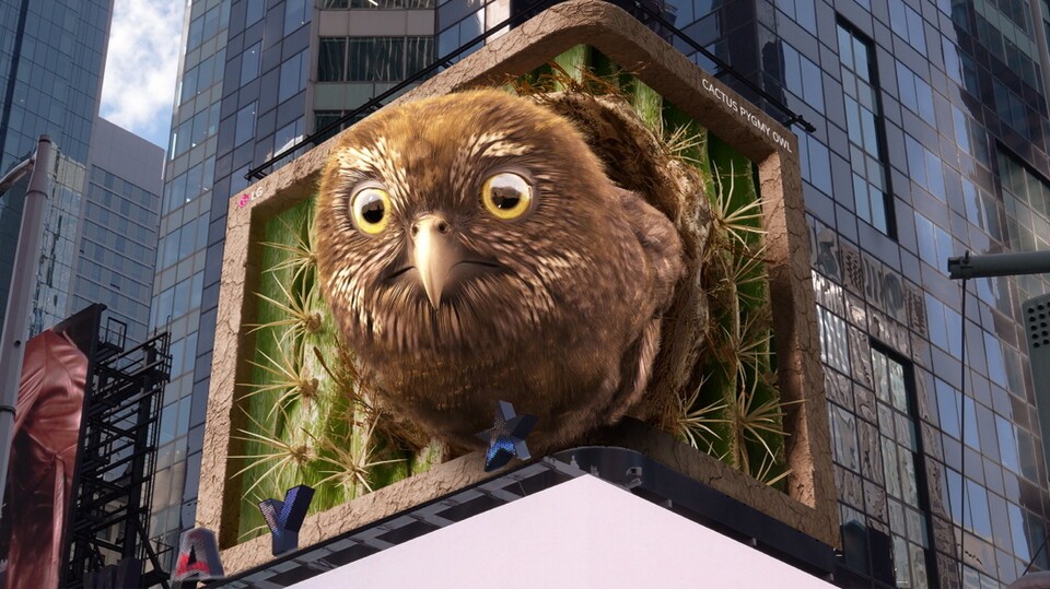 미국 뉴욕 타임스스퀘어 전광판에 '피그미 올빼미'를 주제로 한 7번째 ‘LG와 함께하는 위기 동물 보호 캠페인’ 영상을 공개한 LG전자. /LG전자 제공
