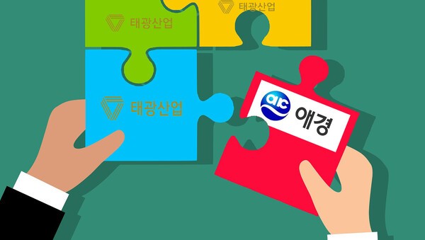 태광그룹이 애경산업 인수를 통해 새로운 성장의 돌파구를 찾는다./그래픽=그린포스트코리아, 이미지=픽사베이