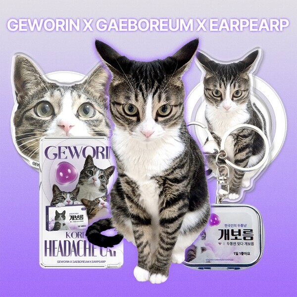 삼진제약이 게보린 앰버서더 ‘개보름’과 함께한 콜라보 굿즈. / 삼진제약