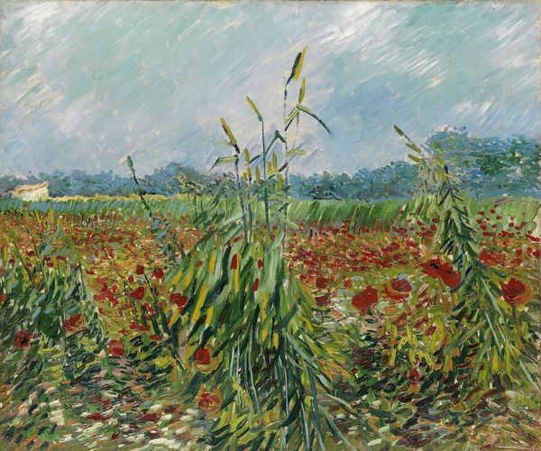 빈센트 반 고흐의 '밀밭의 양귀비'